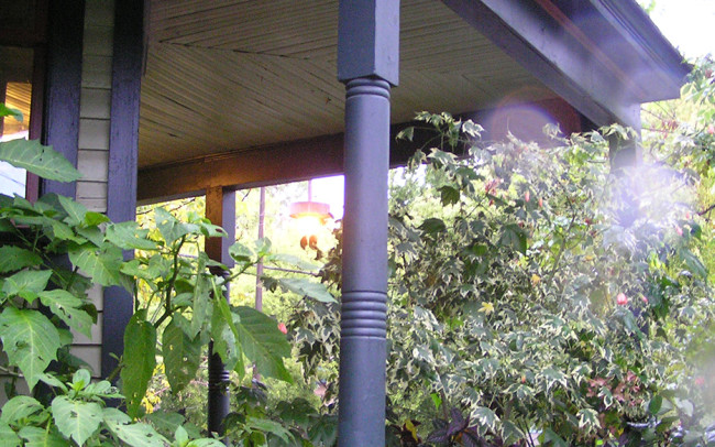 The old porch was pretty plain, with straight pillars leading up to simple spanning beams. Their angularity stands out from the wilderness of foliage.